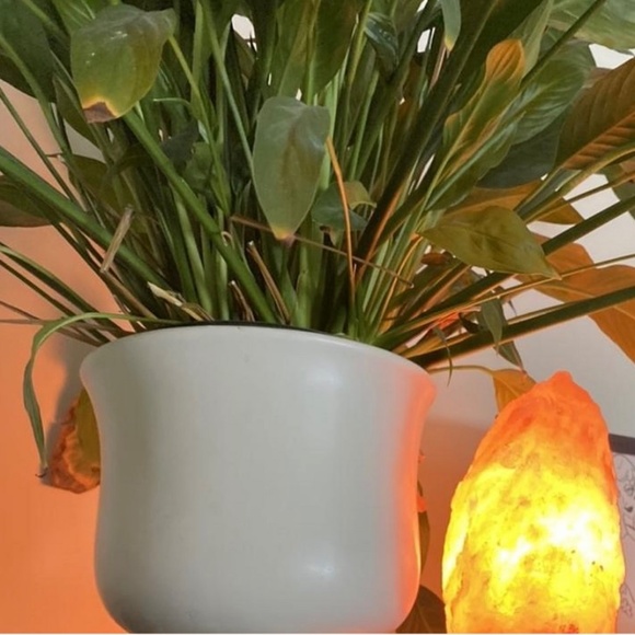 Himalayan Salt Lamp - Picture 9 of 10